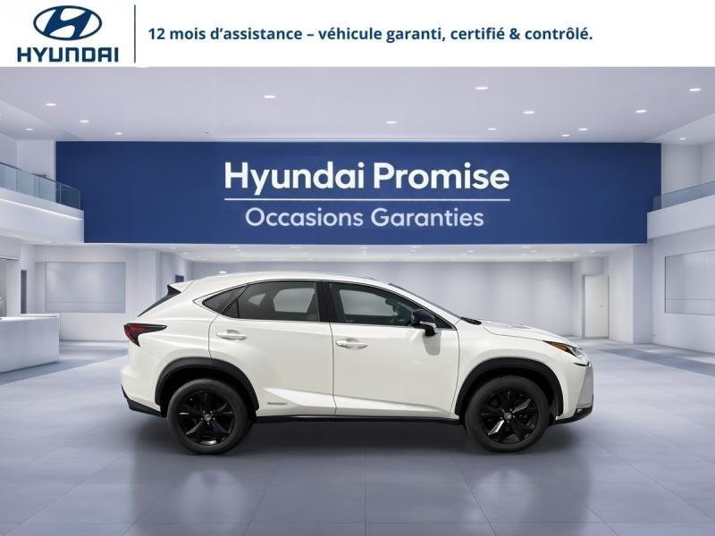 lexus - Visuel 5