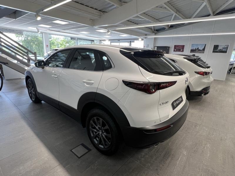 mazda - Visuel 7